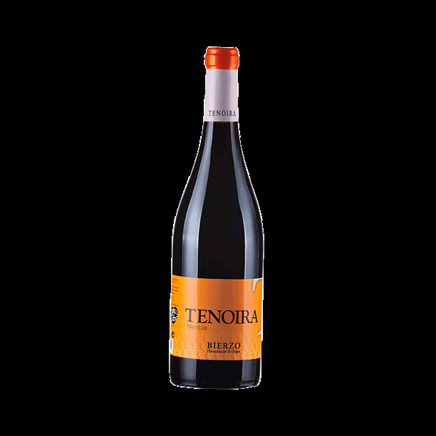 Тенойра Менсия