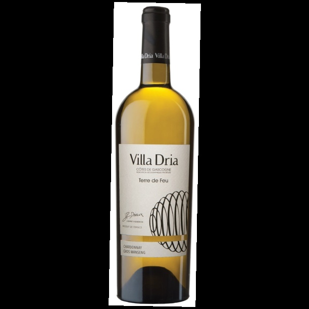 Вилла Дриа Терр де Фё