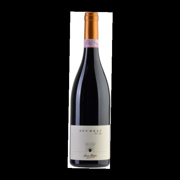 Нино Негри Сфурсат Карло Негри Сфорцато ди Вальтеллина