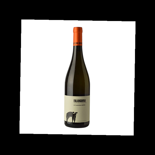 Сан Сальваторе Фалангина Кампания