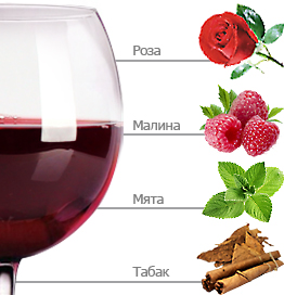 Виноград Неббиоло: описание, характеристики, выращивание и отзывы